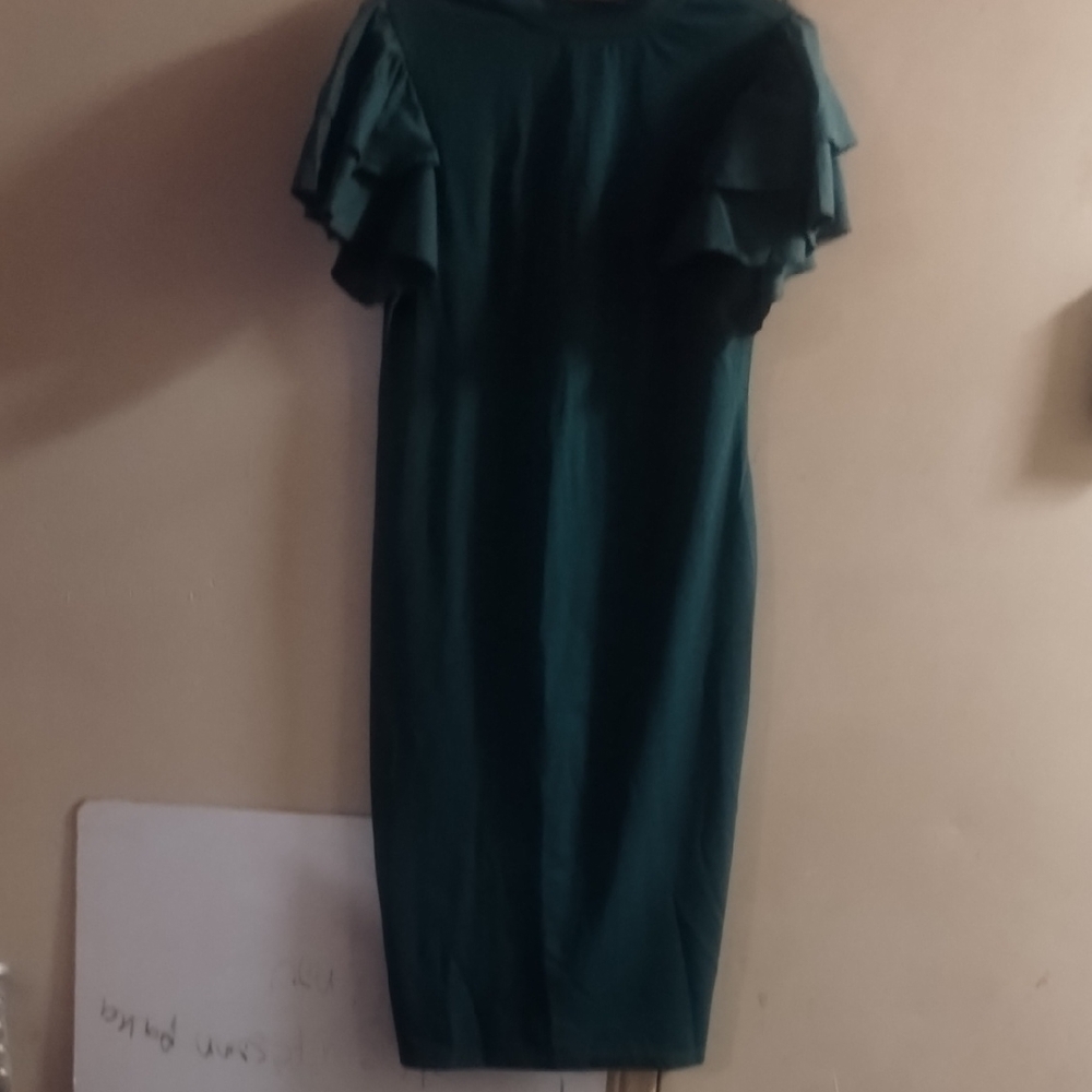 SHEIN Dark Green Long Sleeve Dress